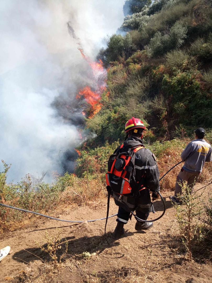 Most of the firefights of the forests in these states - New Algeria