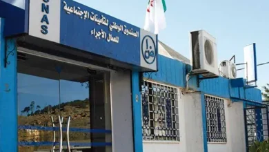 Social Security launches awareness days about maternity vacation measures - New Algeria