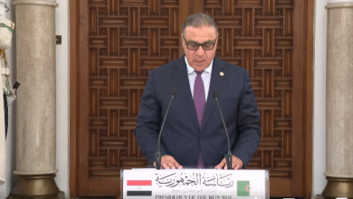 The Egyptian ambassador to Algeria highlights the distinctive character of relations between the two countries - New Algeria