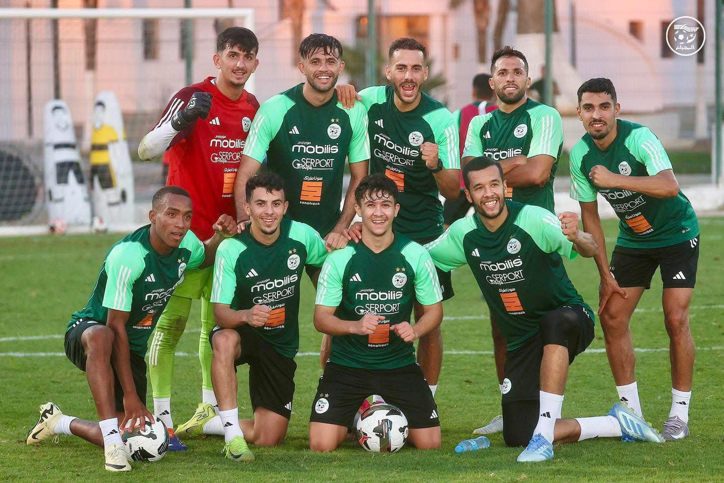 The Greens of the Greens under the Betkovic microscope - New Algeria