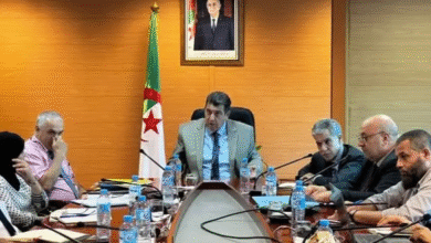The Ministry of Commerce calls for intensifying control over banana, apples and red meat - Algerian dialogue