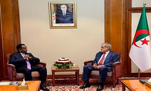 The Prime Minister receives the Somali Minister of Foreign Affairs - Algerian dialogue