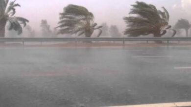 The utmost readiness to face the dangers of autumn rain