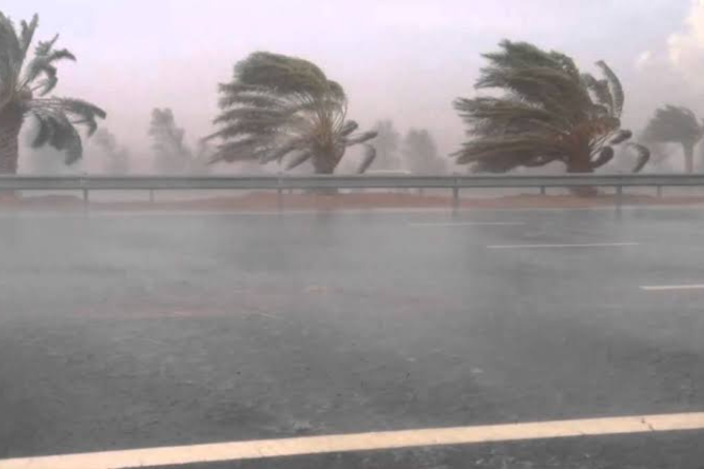 The utmost readiness to face the dangers of autumn rain