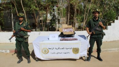 This is the outcome of the National Army in a week - new Algeria