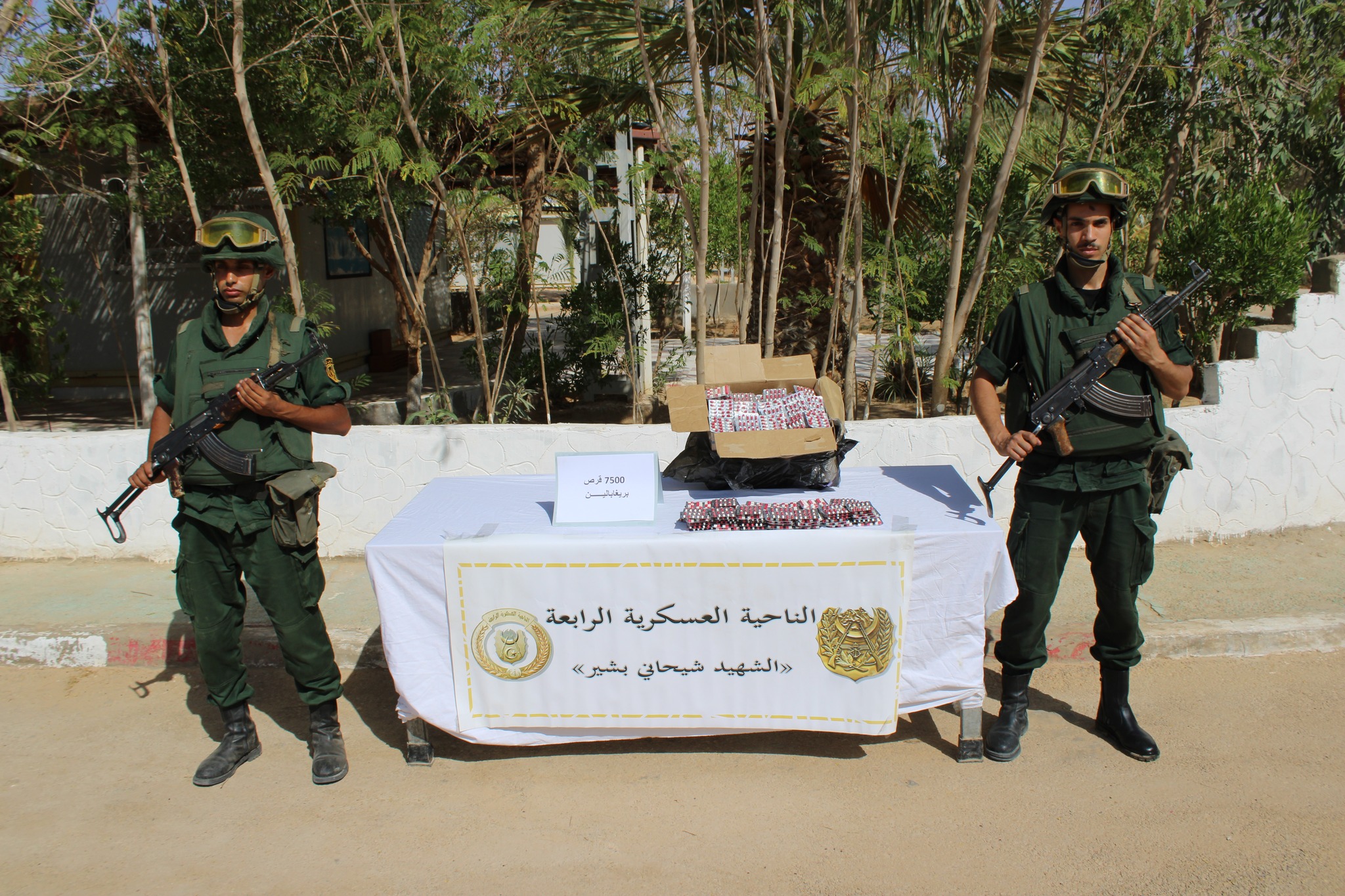 This is the outcome of the National Army in a week - new Algeria