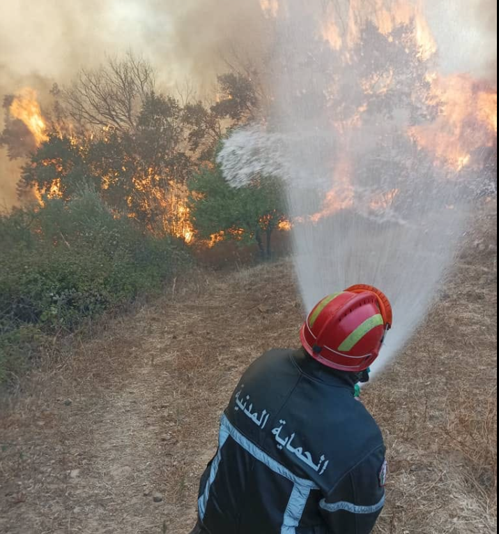 Vegetable cover fires in several states and efforts are continuing to extinguish them - New Algeria