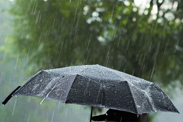 Weather .. rain and thunders on these states - new Algeria