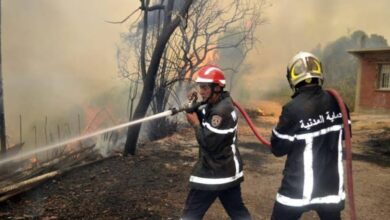 12 fires were extinguished across 6 states