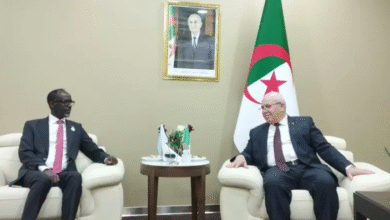 Algeria and Somalia are looking to develop cooperation in agriculture and marine fishing - Algerian dialogue