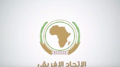 Algeria chairs a meeting of the African Union - Algerian Dialogue