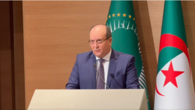 Algeria is eligible to be a regional manufacturing platform - New Algeria