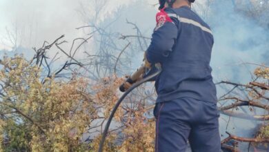 Civil Protection..and 16 hours in 24 hours - New Algeria - New Algeria