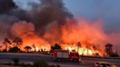 Civil protection is recruited to counter forest fires