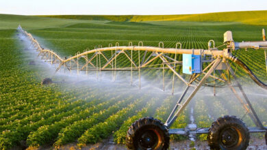 Efforts to raise the obstacles of agricultural projects and ensure food security