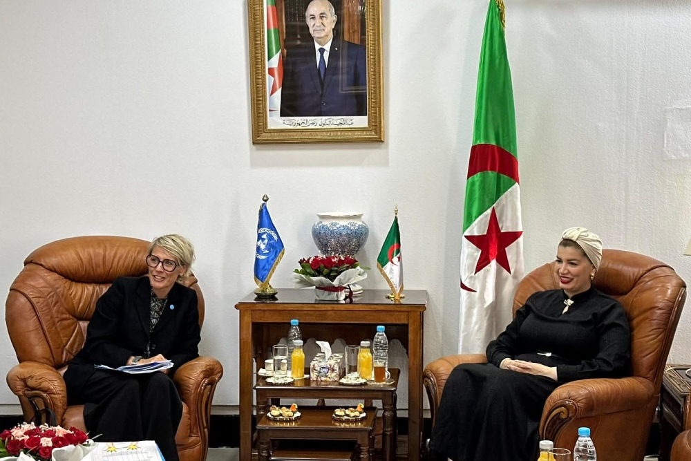 Enhancing cooperation between Algeria and the United Nations Children's Fund
