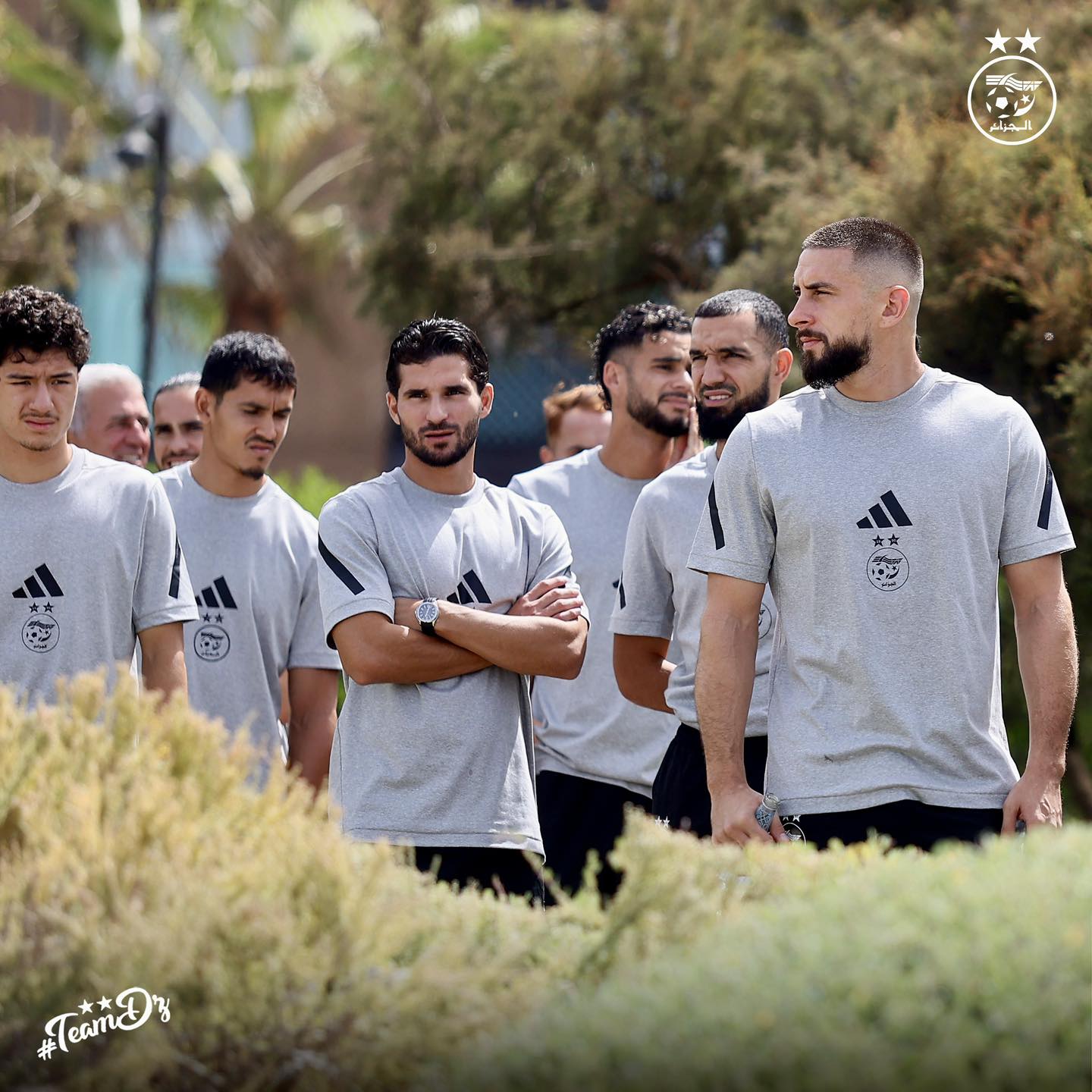In pictures ... green on a relaxing tour before facing Guinea - New Algeria