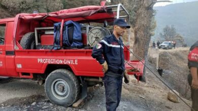 Joint efforts to control forest fires in the states