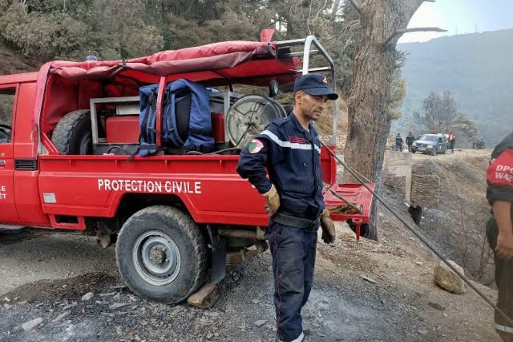 Joint efforts to control forest fires in the states