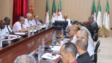 Local authorities are carrying out pre -emptive measures to confront weather fluctuations - New Algeria