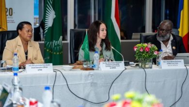 Mansouri participates in the ministerial meeting of the Peace and Security Council - New Algeria