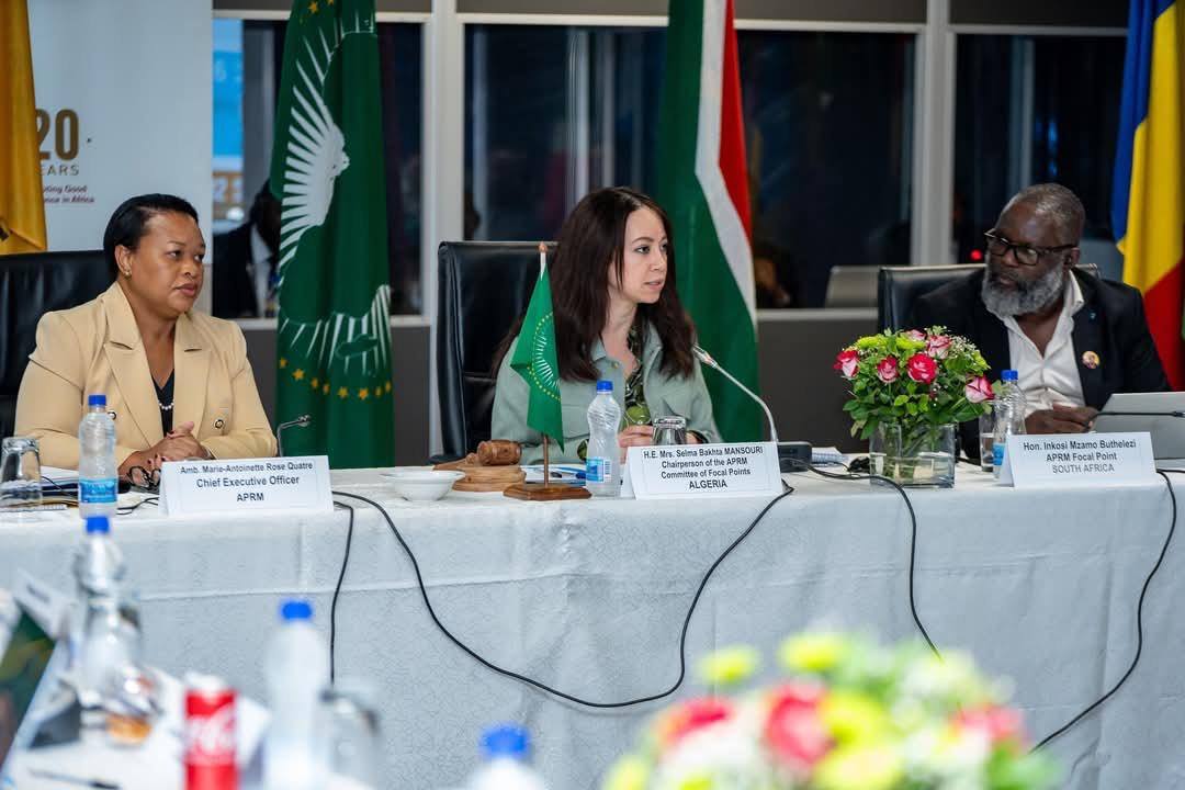 Mansouri participates in the ministerial meeting of the Peace and Security Council - New Algeria