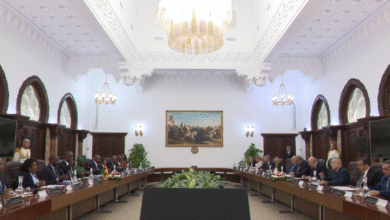 President Taboun chairs extensive talks with his Mozambician counterpart - New Algeria