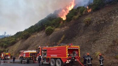 Record 28 fires for vegetable cover across 8 states