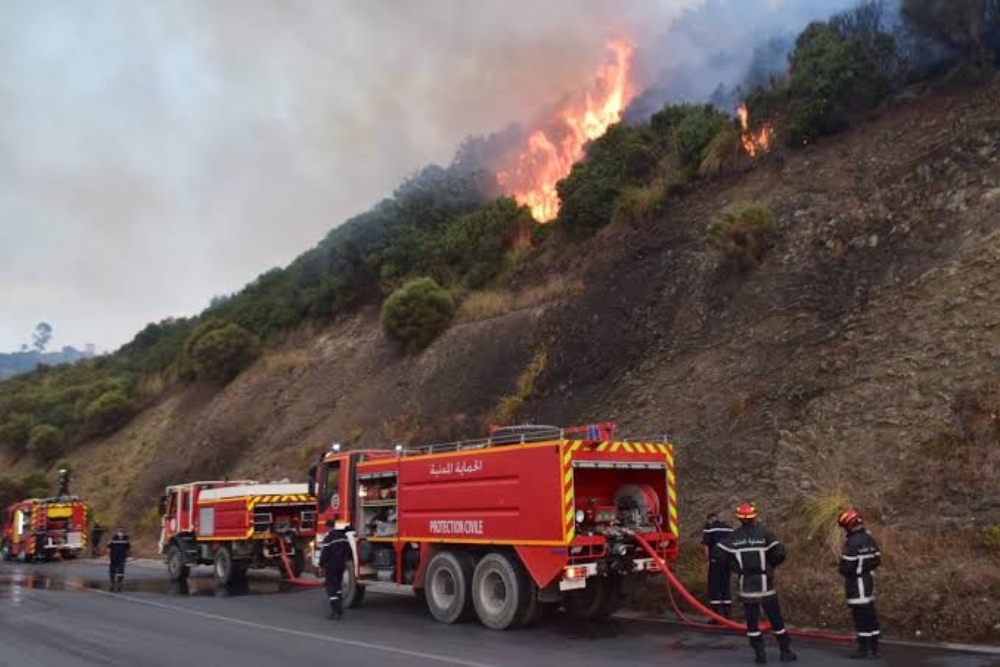 Record 28 fires for vegetable cover across 8 states