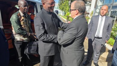 Rizeig receives the Minister of Trade and Industry of the Central African Republic - New Algeria