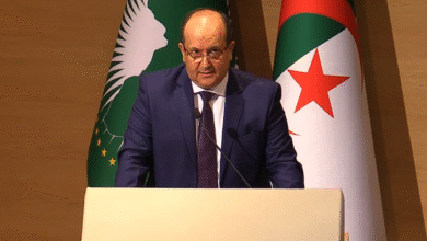 Seify Gharib: Algeria attaches great importance to its communities and supports the African Union - Algerian dialogue