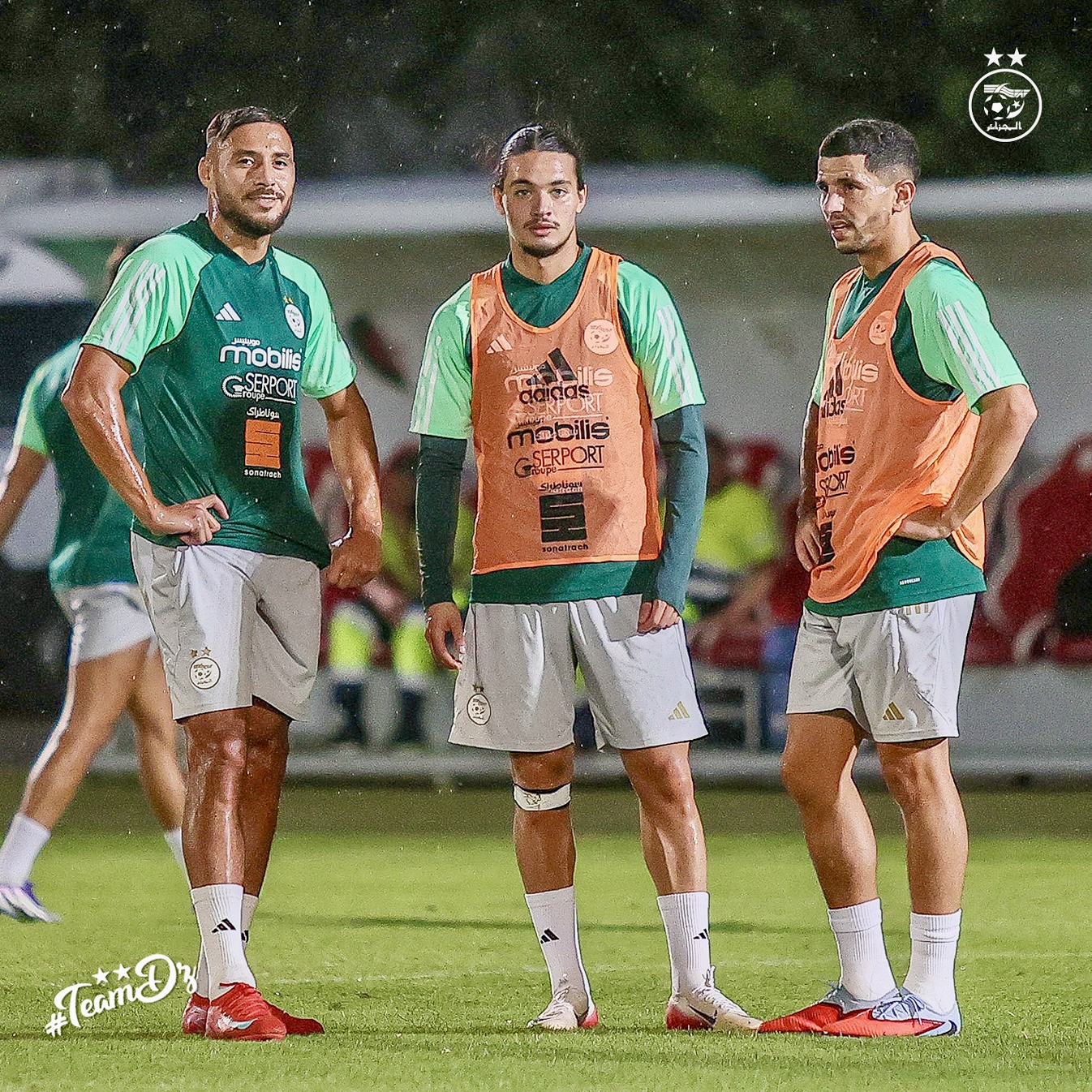 The channels carrying to meet Guinea - Algeria - New Algeria