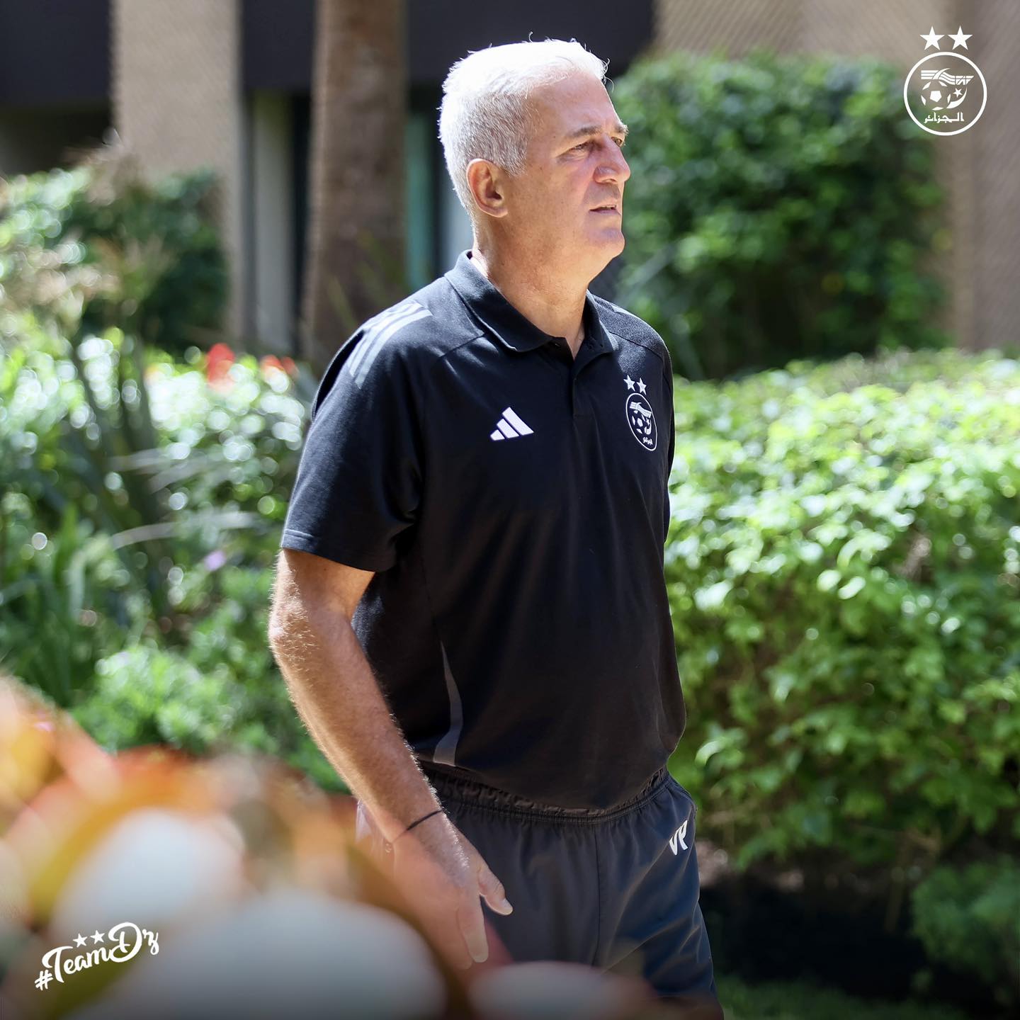 The most prominent of what Petkovic said after a draw with Guinea - New Algeria