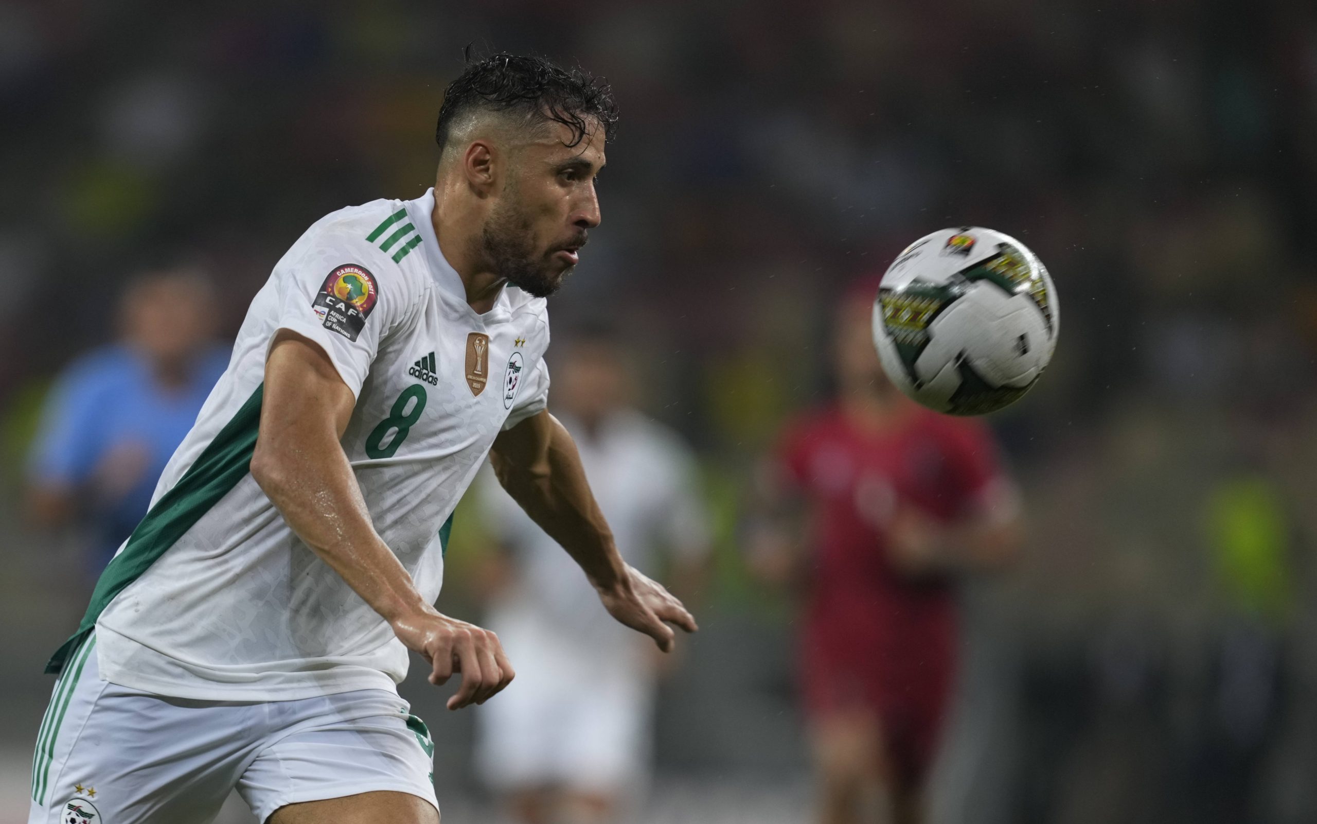 Youssef Blaili .. "Black Ghost" by Botswana - New Algeria