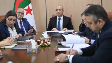 A virtual meeting with national competencies residing in Scandinavian countries - New Algeria