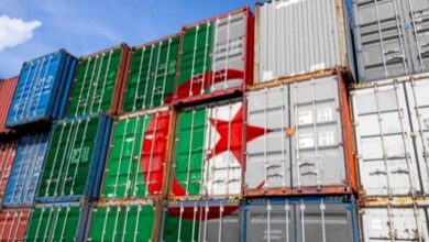Algeria lives on the impact of important partnerships that seek self -sufficiency and heading towards export - New Algeria