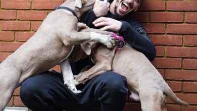 Bin Rahma is threatened with imprisonment in England - New Algeria