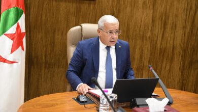 Boughali appreciates the deep transformations taking place in Algeria - New Algeria