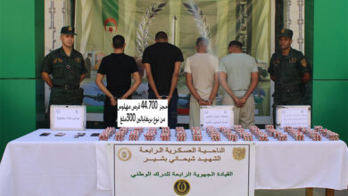 Continuous operations for the army in combating terrorism and organized crime