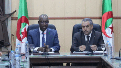 For the Supreme Youth Council receives the Minister of Education - New Algeria