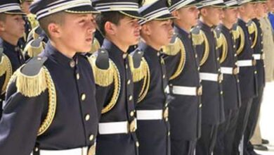 Parliamentary day on the schools of the nation’s cubs - New Algeria