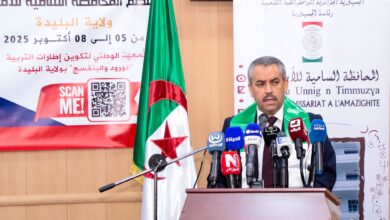 Saadawi: We are working to provide all capabilities for the Inspection Authority - New Algeria