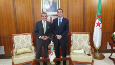 The Minister of Health receives the Director General of the International Atomic Energy Agency - New Algeria