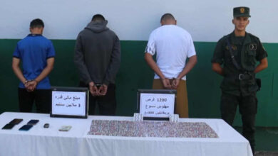 The capital's police put an end to drug and psychotropic substance dealers