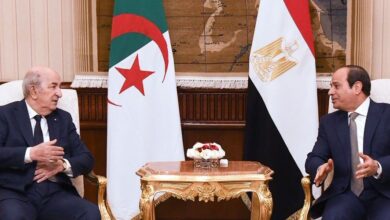 Algerian Ambassador in Cairo: Signing agreements and memorandums of understanding - New Algeria