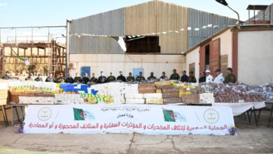 Algeria's strategy in combating drugs has confirmed its effectiveness