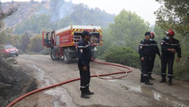 Civil protection extinguishes fires in 10 states