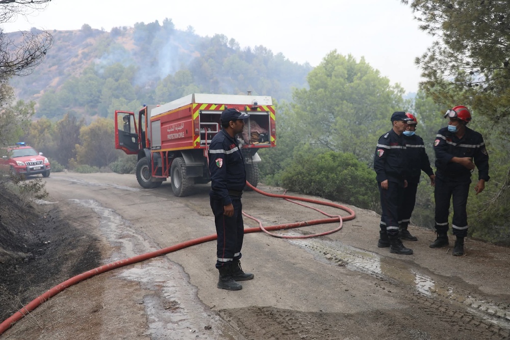 Civil protection extinguishes fires in 10 states