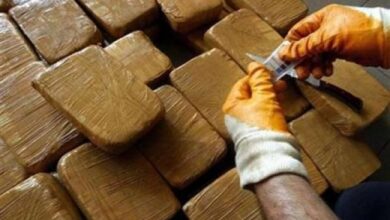 Destruction of large quantities of drugs and psychotropic substances - New Algeria