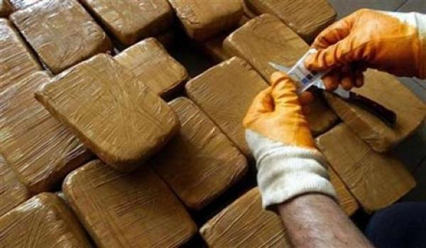 Destruction of large quantities of drugs and psychotropic substances - New Algeria